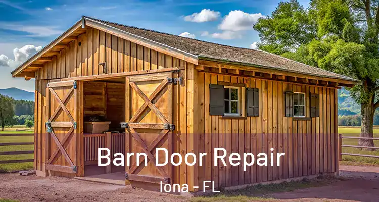  Barn Door Repair Iona - FL