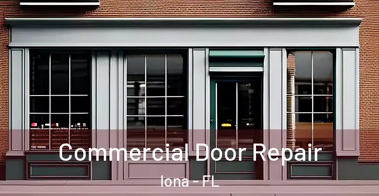  Commercial Door Repair Iona - FL
