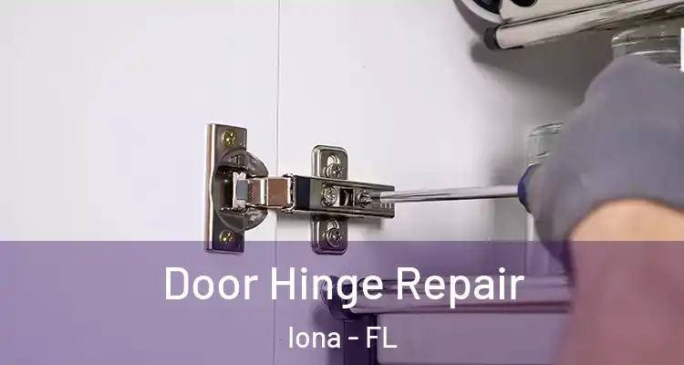  Door Hinge Repair Iona - FL