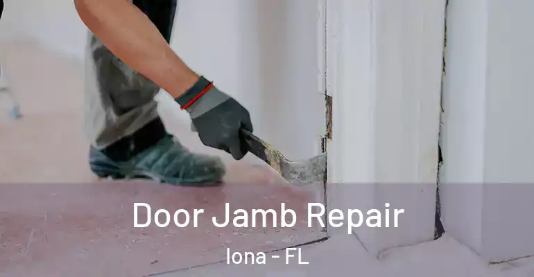  Door Jamb Repair Iona - FL