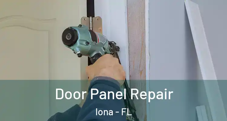  Door Panel Repair Iona - FL