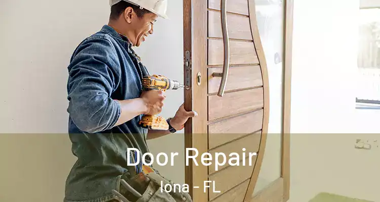  Door Repair Iona - FL