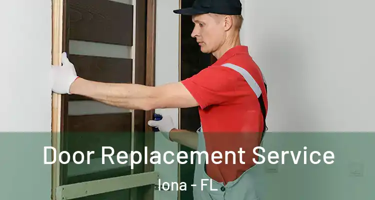  Door Replacement Service Iona - FL