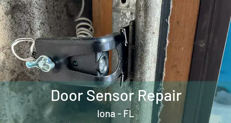  Door Sensor Repair Iona - FL