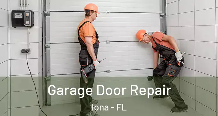  Garage Door Repair Iona - FL
