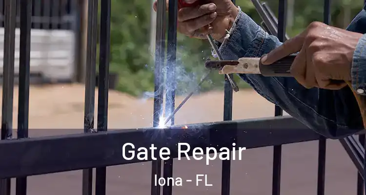  Gate Repair Iona - FL