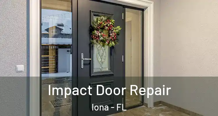  Impact Door Repair Iona - FL