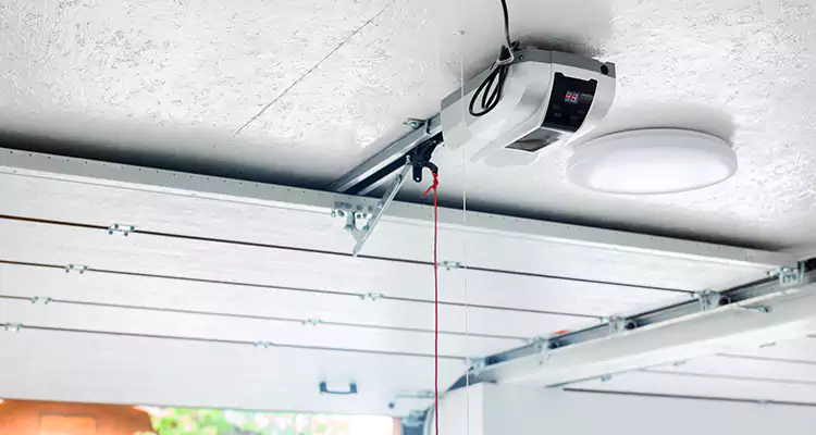 LiftMaster Garage Door Repair in Iona, FL