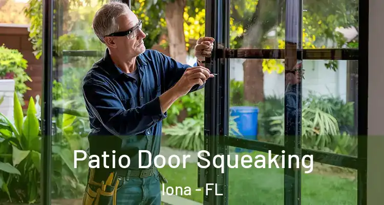  Patio Door Squeaking Iona - FL
