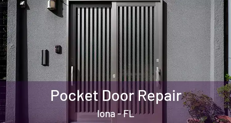  Pocket Door Repair Iona - FL