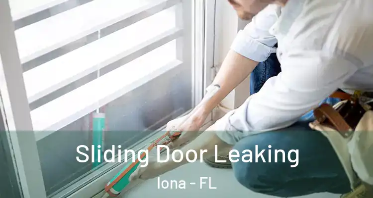  Sliding Door Leaking Iona - FL
